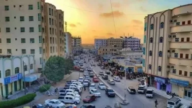 ضبط ستة أشخاص بينهم مطلوب وخمسة بحوزتهم مخدرات في المهرة 3