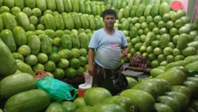 البطيخ يتربع على موائد اليمن.. طعمه منعش وسعره مناسب 3