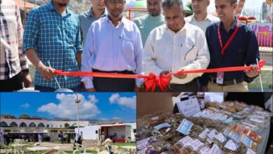 افتتاح معرض لعرض وتسويق الأسماك والمنتجات البحرية في عدن 3