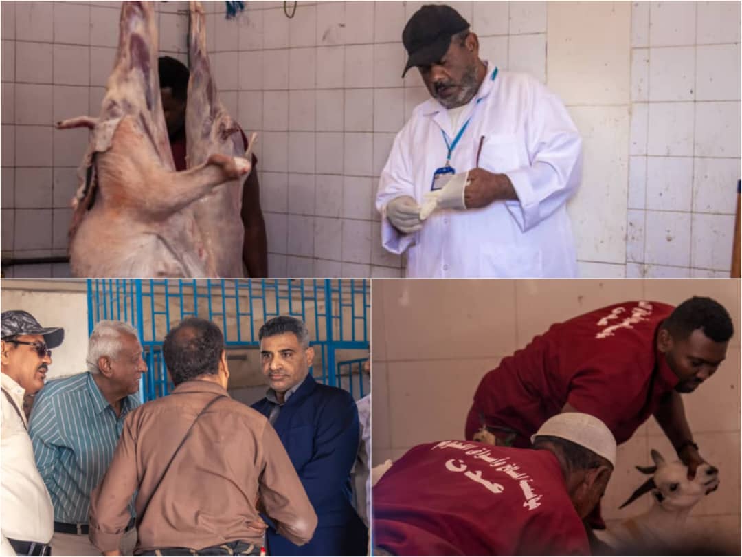 تدشين بيع اللحوم بأسعار مدعومة في عدن 1