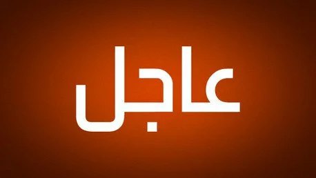 توجيهات عاجلة من الرئاسة: الحكومة تتواجد في عدن لتحسين حياة المواطنين 1
