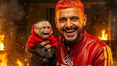 مصر.. انتفاضة برلمانية وقانونية لوقف عرض برنامج "رامز ليفل الوحش" 2