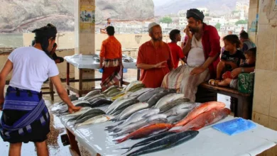 عدن.. مراكز الإنزال تنتقد اجتماع مصائد الأسماك وتطالب بتسعيرة عادلة 3
