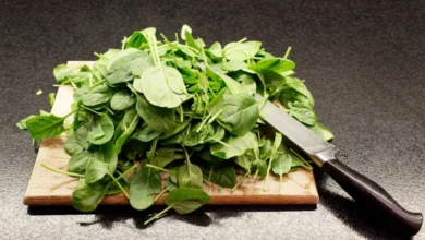 أسرار امتصاص الحديد: 7 أطعمة تعزز الفائدة و3 احذرها مع السبانخ 3