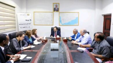 وزير الكهرباء يبحث مع البرنامج الإنمائي تعزيز التعاون في مشاريع الطاقة المتجددة 5