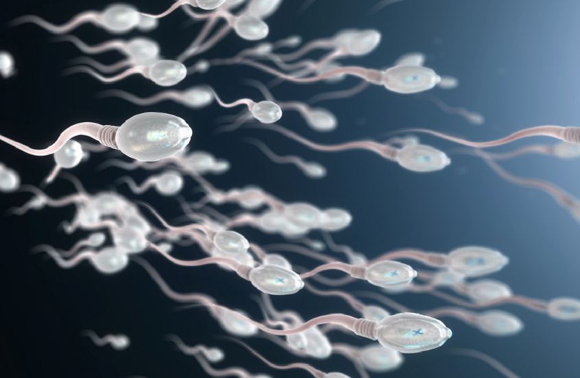 أمل جديد لعلاج العقم عند الرجال: تقنية mRNA تعيد خصوبة العقيمة وراثياً 1