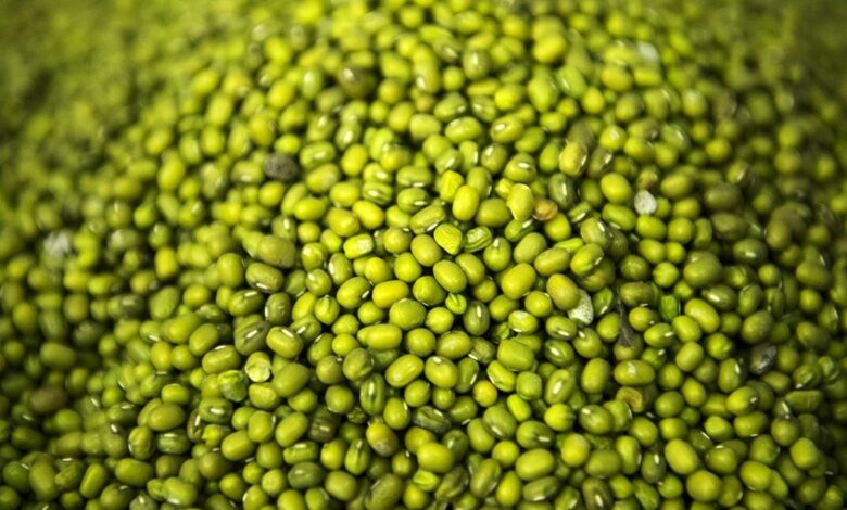 خبيرة تغذية تكشف عن منتج طبيعي يعزز صحة القلب ويخفض الكوليسترول! 6