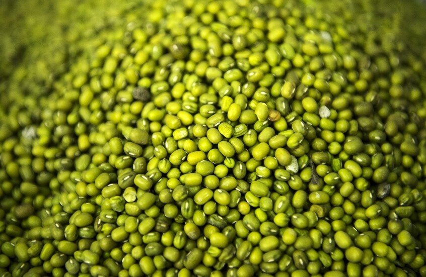 خبيرة تغذية تكشف عن منتج طبيعي يعزز صحة القلب ويخفض الكوليسترول! 1