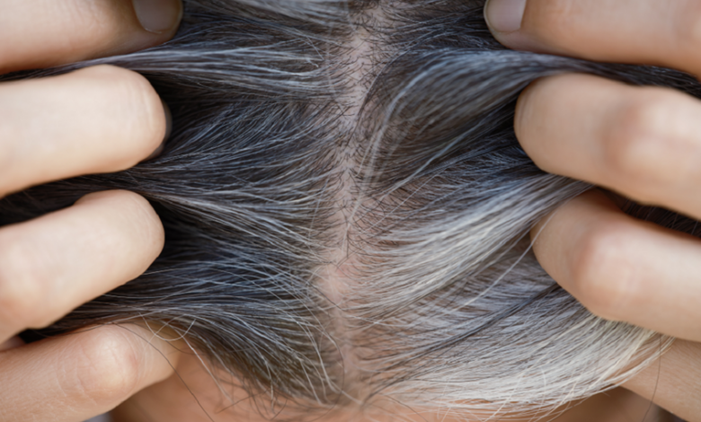 دراسة مذهلة تكشف دور الشيب في مقاومة السرطان 10