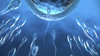 دراسة حديثة تكشف: الامتناع عن الجنس يؤثر على خصوبة الرجال أكثر مما تتوقع! 2