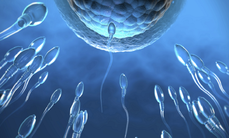 دراسة حديثة تكشف: الامتناع عن الجنس يؤثر على خصوبة الرجال أكثر مما تتوقع! 6