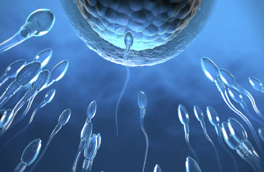 دراسة حديثة تكشف: الامتناع عن الجنس يؤثر على خصوبة الرجال أكثر مما تتوقع! 1