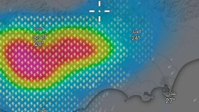 الكشف عن أمطار خفيفة مرتقبة في عدن ضمن تقلبات جوية تشمل مناطق مجاورة 3