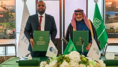 البرنامج السعودي يوقع اتفاقية لتعزيز سلاسل القيمة الزراعية ودعم المزارعين في اليمن 10