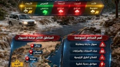 سيول رعدية تهدد شبوة.. الدفاع المدني يطلق إنذاراً عاجلاً 3