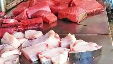 عدن: أسعار الأسماك اليوم الخميس 26 مارس 2026 ونداءات بخفض الأسعار 2