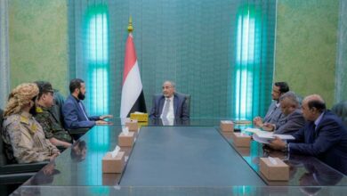 الفريق الصبيحي يشدد على مضاعفة تقديم الخدمات للمواطنين في أبين وترسيخ دعائم الأمن والاستقرار 3