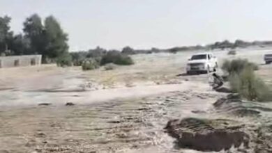 شبوة.. عسيلان تشهد استمرار تدفق سيل وادي بيحان 2