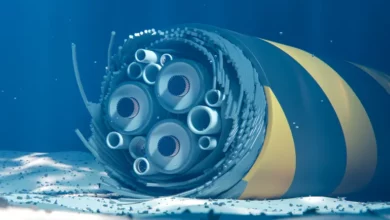 انقطاع الإنترنت في الوطن العربي.. ماذا سيحدث إذا تعطلت نقطة ربط البحر الأحمر؟ 3