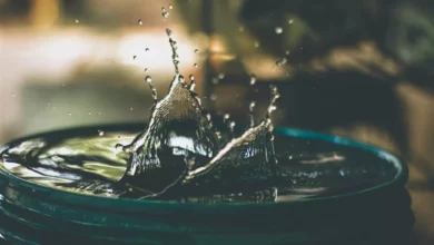 علماء روس يبتكرون تقنية مبتكرة لتحويل مخلفات الألبان إلى مياه صالحة للشرب 2