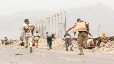 صرخة مؤلمة من عدن ولحج وأبين والضالع: متى تُصرف مستحقات الشهداء والجرحى؟ 5