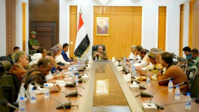 الخنبشي يؤكد على الدور المحوري للأحزاب السياسية ومكونات المجتمع المدني في ترسيخ دعائم الأمن والاستقرار 4