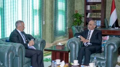 عضو مجلس القيادة محمود الصبيحي يشدد على الاستمرار في تنفيذ برامج الإصلاح الإداري والتحديث المؤسسي 5