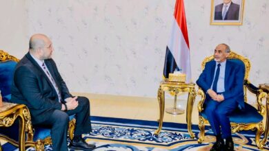 عضو مجلس القيادة محمود الصبيحي يبحث مع الـ (IOM) أوضاع الهجرة والتحديات الإنسانية المرتبطة بها 2