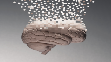 عوامل صامتة تُسرّع شيخوخة الدماغ.. احذر ما يهدد ذاكرتك دون أن تشعر! 4