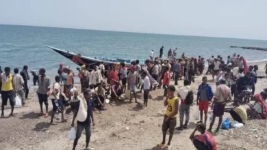 وصول أكثر من 200 مهاجر إلى سواحل شبوة في تدفق جديد وتحركات أمنية 3