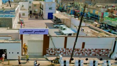 حملة رقابية واسعة لضبط الأسعار في الشيخ عثمان.. والسلطة المحلية تدعو المواطنين للتعاون 3