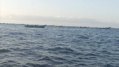 اختفاء شقيقين في عرض البحر بشبوة يشعل القلق.. والأهالي يطلقون نداء استغاثة عاجل 4