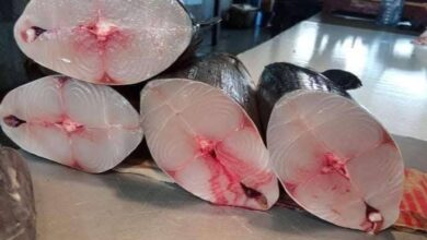 بائعو الأسماك في "الممدارة" يشكون من تسعيرة مكتب الصناعة ويطالبون برفع هامش الربح لتجنب الخسائر 2