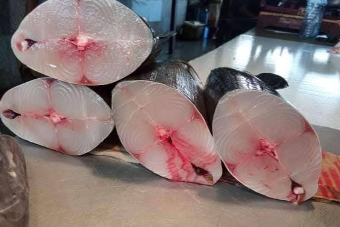 بائعو الأسماك في "الممدارة" يشكون من تسعيرة مكتب الصناعة ويطالبون برفع هامش الربح لتجنب الخسائر 1