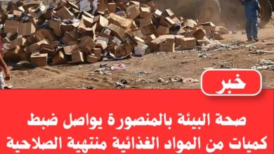 صحة البيئة بالمنصورة يواصل ضبط كميات من المواد الغذائية منتهية الصلاحية 2