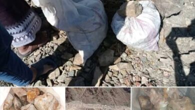 تحذيرات في حضرموت من “نهب منظم” للذهب والمعادن وسط إجراءات صارمة مرتقبة 2