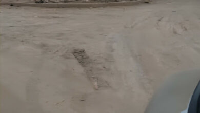 خلاف على قطعة أرض يتحول إلى جريمة صادمة بين شقيقين 2