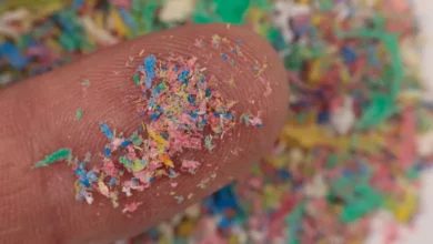 ابتكار صيني مذهل: تقنية ضوئية تكشف "بلاستيك أجسامنا" لأول مرة! 2