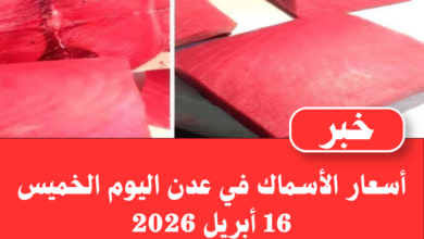 أسعار الأسماك في عدن اليوم الخميس 16 أبريل 2026 4