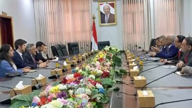 وزارة الإدارة المحلية وبعثة الاتحاد الأوروبي تبحثان سبل دعم وتمكين السلطات المحلية 2