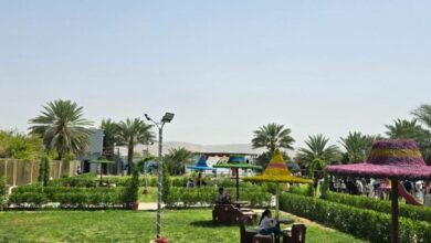 وكيل محافظة حضرموت يفتتح حديقة “فاميلي بارك” بمديرية سيئون 5