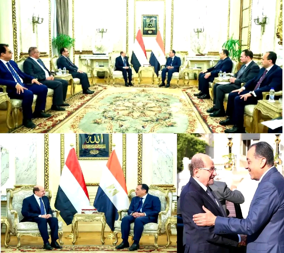 رئيس الوزراء وزير الخارجية يلتقي نظيره المصري 1