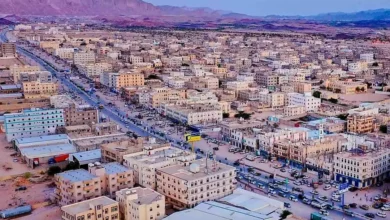 تصاعد مقلق للعنف في شبوة.. قتيلان في يوم واحد وسط تفاقم النزاعات القبلية 2