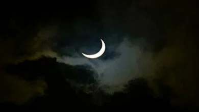 كم تبقى على عيد الأضحى 2026؟ العدّ التنازلي لأكبر مناسبات المسلمين 2