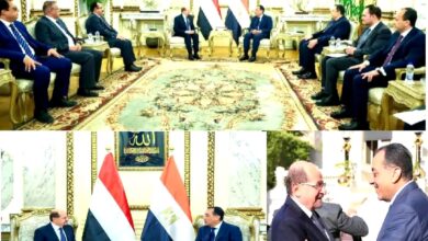 رئيس الوزراء وزير الخارجية يلتقي نظيره المصري 3