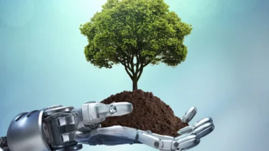 الذكاء الاصطناعي يقود ثورة جديدة في الاقتصاد البيئي حول العالم 4