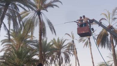 حريق يهدد منازل السكان في رضوم بشبوة وجهود مجتمعية تنجح في احتوائه 5
