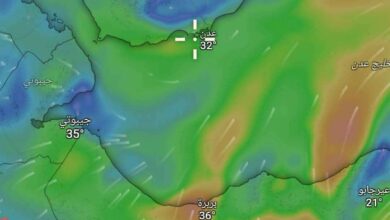 رياح نشطة وأجواء مغبرة تضرب عدن وتحذيرات للسكان من تداعياتها 2