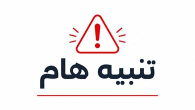 بيان صحفي: وزارة التعليم العالي والبحث العلمي تؤكد إحالة ملف شهادات جامعية مزورة إلى القضاء وتتوعد المتلاعبين 2