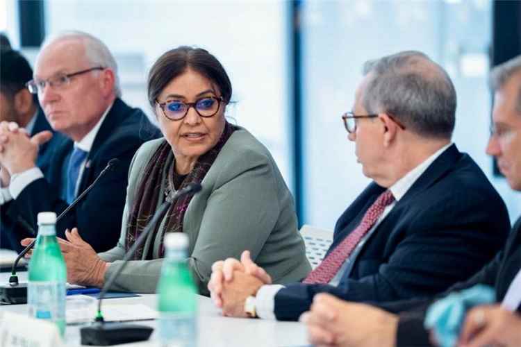 سفيرة اليمن في واشنطن: الحوثيون يتحركون ضمن مشروع إيراني يهدد أمن اليمن والمنطقة 1